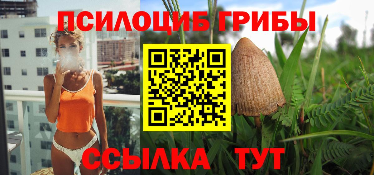 Галлюциногенные грибы Psilocybine cubensis  даркнет сайт  Сыктывкар  Вход с VPN 