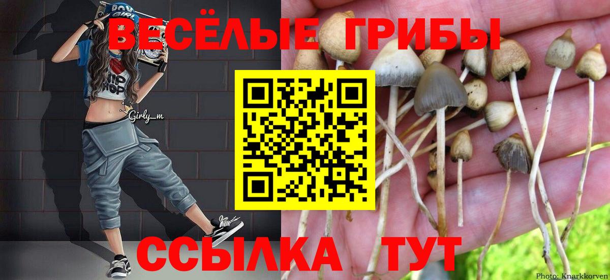 Галлюциногенные грибы ЛСД Сыктывкар